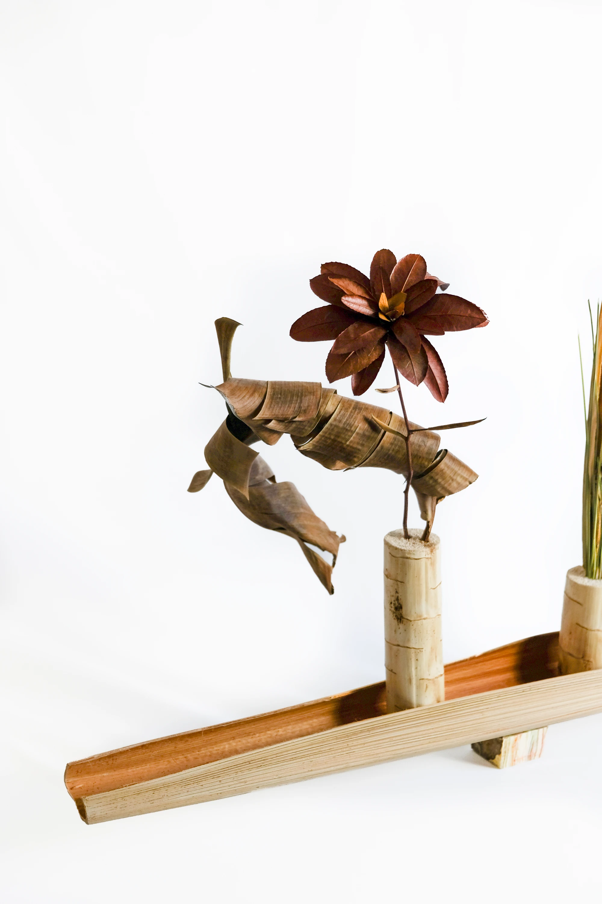 Botanical arrangement